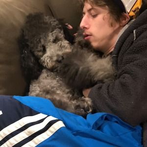 Meet your Posher, Jane